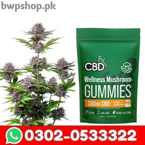 CBD Mushroom Gummies in Pakistan 
